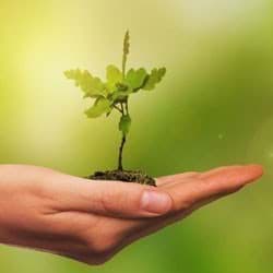 Show products in category Our suppliers Picture for category Our suppliers